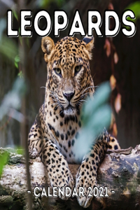 Leopards Calendar 2021