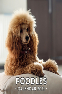 Poodles Calendar: 2021 Poodle Wall Calendar, Cute Gift Idea For Poodle Lovers Or Owners Men And Women