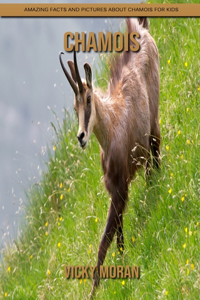 Chamois