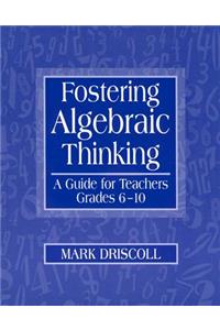 Fostering Algebraic Thinking