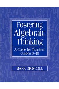 Fostering Algebraic Thinking