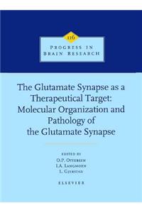 The Glutamate Synapse as a Therapeutic Target