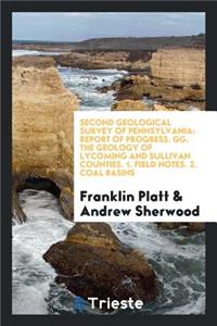 The Geology of Lycoming and Sullivan Counties