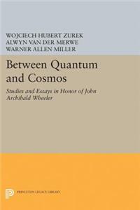 Between Quantum and Cosmos