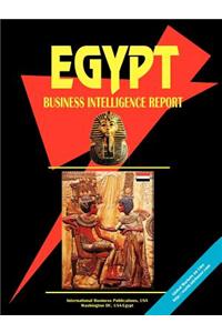 Egypt Business Intelligence Report