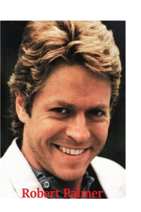 Robert Palmer