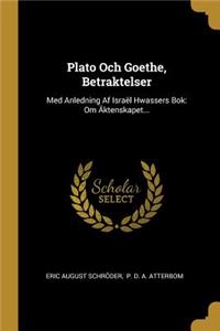 Plato Och Goethe, Betraktelser