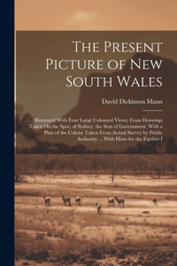 Present Picture of New South Wales