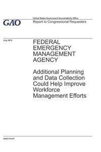 Federal Emergency Management Agency