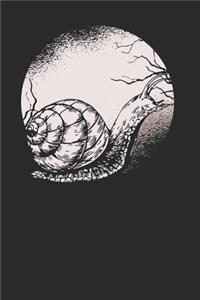 Snail Moon