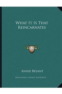 What It Is That Reincarnates