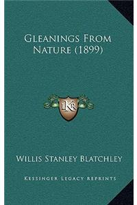 Gleanings from Nature (1899)