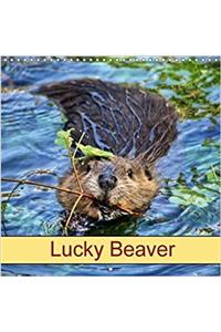 Lucky Beaver 2018