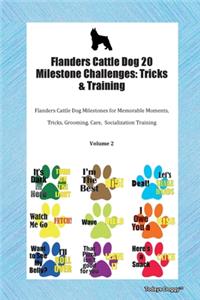 Flanders Cattle Dog 20 Milestone Challenges