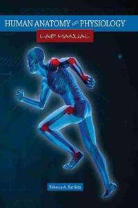 Human Anatomy and Physiology
