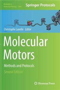 Molecular Motors