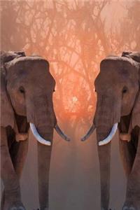 MindBlowing Elephant Journal 23