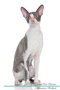 Cornish Rex Affirmations Workbook Cornish Rex Presents