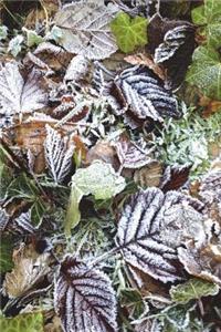 Frost on Autumn Leaves Journal