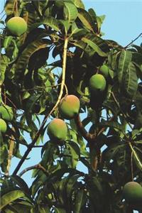 The Mango Tree Journal