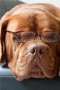 Napping Bordeaux Dog Wearing Reading Glasses Pet Journal