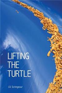 Lifting the Turtle