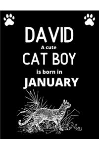 DAVID a cute cat boy is born in January