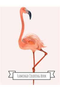 Flamingo Coloring Book