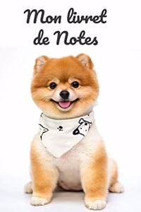 Mon livret de Notes