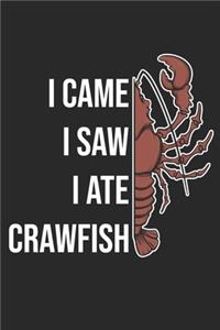 I Came I Saw I Ate Crawfish