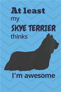 At least My Skye Terrier thinks I'm awesome