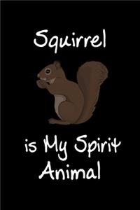 Squirrel is My Spirit Animal