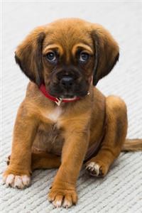 Who Me? Precious Puppy Journal