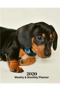 2020 Weekly and Monthly Planner