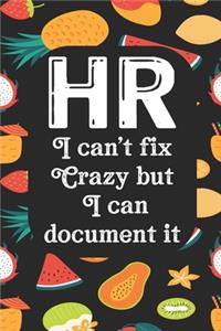 HR I Can't Fix Crazy But I Can Document It