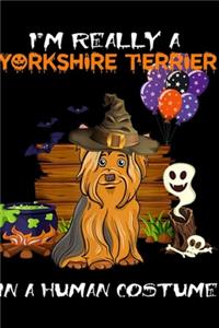 I'm Really Yorkshire Terrier In A Human Costume