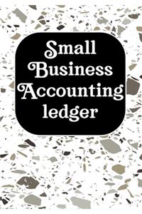 Small Business Accounting Ledger