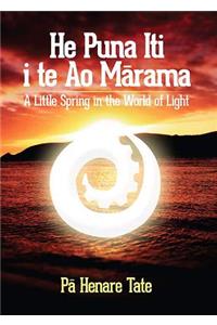 He Puna Iti I Te Ao Marama: A Little Spring in the World of Light