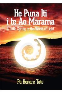 He Puna Iti I Te Ao Marama