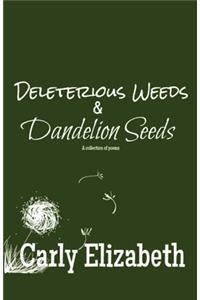 Deleterious Weeds and Dandelion Seeds