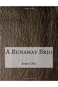 A Runaway Brig