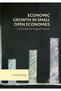 Economic Growth in Small Open Economies