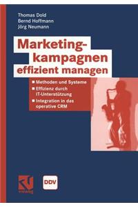Marketingkampagnen Effizient Managen