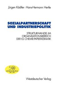 Sozialpartnerschaft Und Industriepolitik