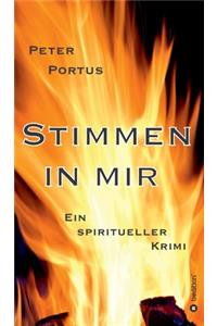 Stimmen in mir - Ein spiritueller Krimi