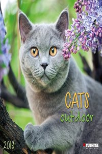 Cats Outdoors 2019