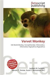 Vervet Monkey