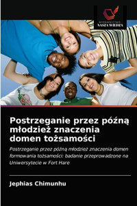 Postrzeganie przez późną mlodzież znaczenia domen tożsamości