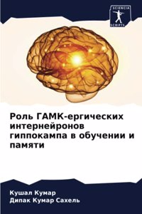 Роль ГАМК-ергических интернейронов гиппо