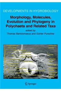 Morphology, Molecules, Evolution and Phylogeny in Polychaeta and Related Taxa
